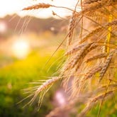 blog post